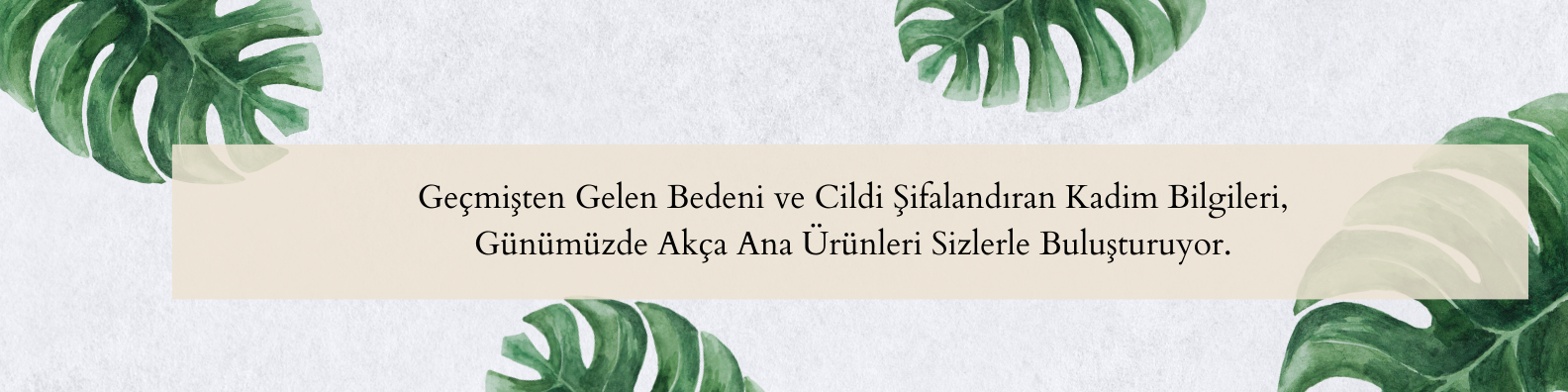 Shop Banner