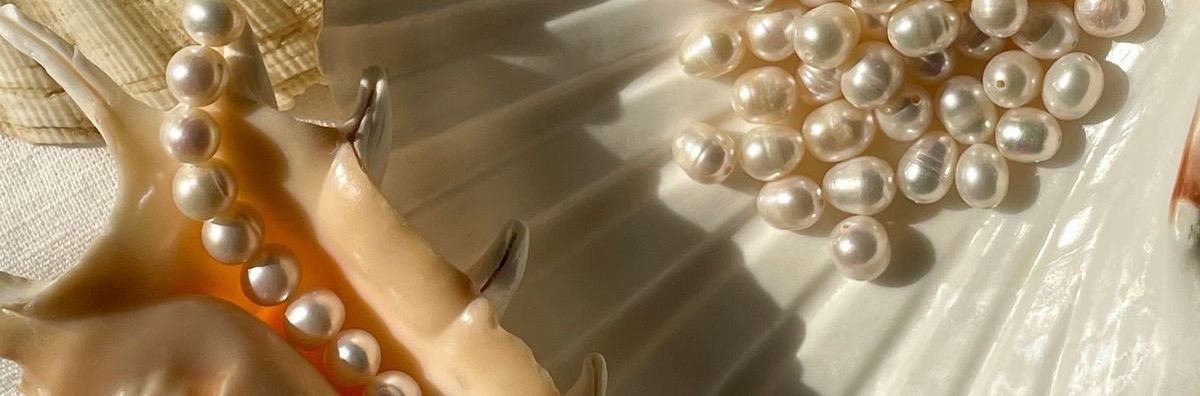 Shop Banner