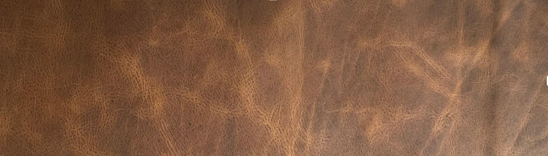 Shop Banner