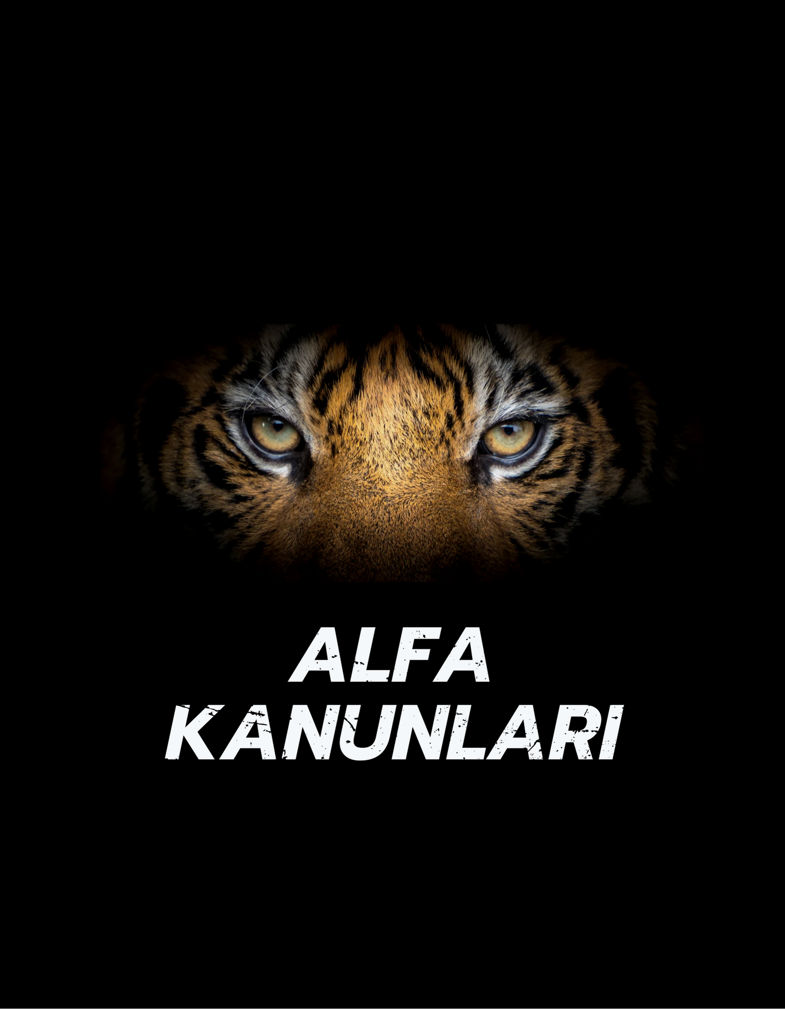 Shop Banner