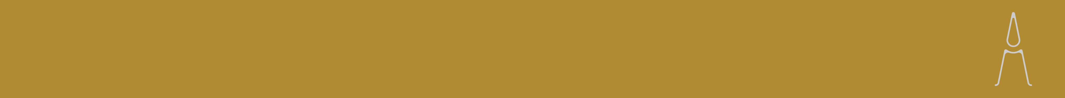 Shop Banner