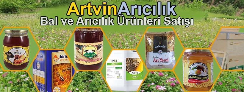 Shop Banner