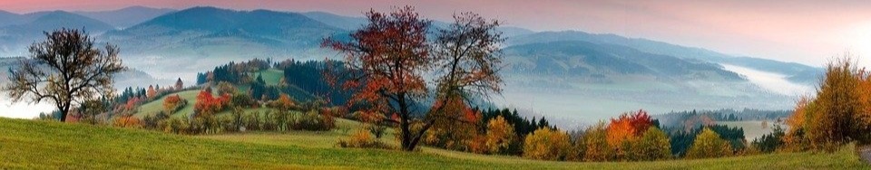Shop Banner