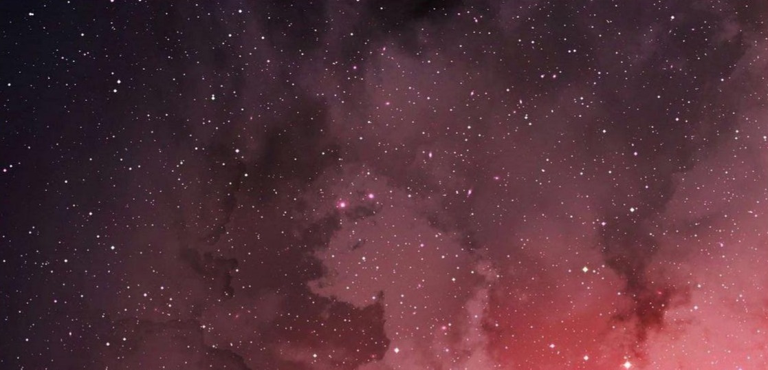 Shop Banner