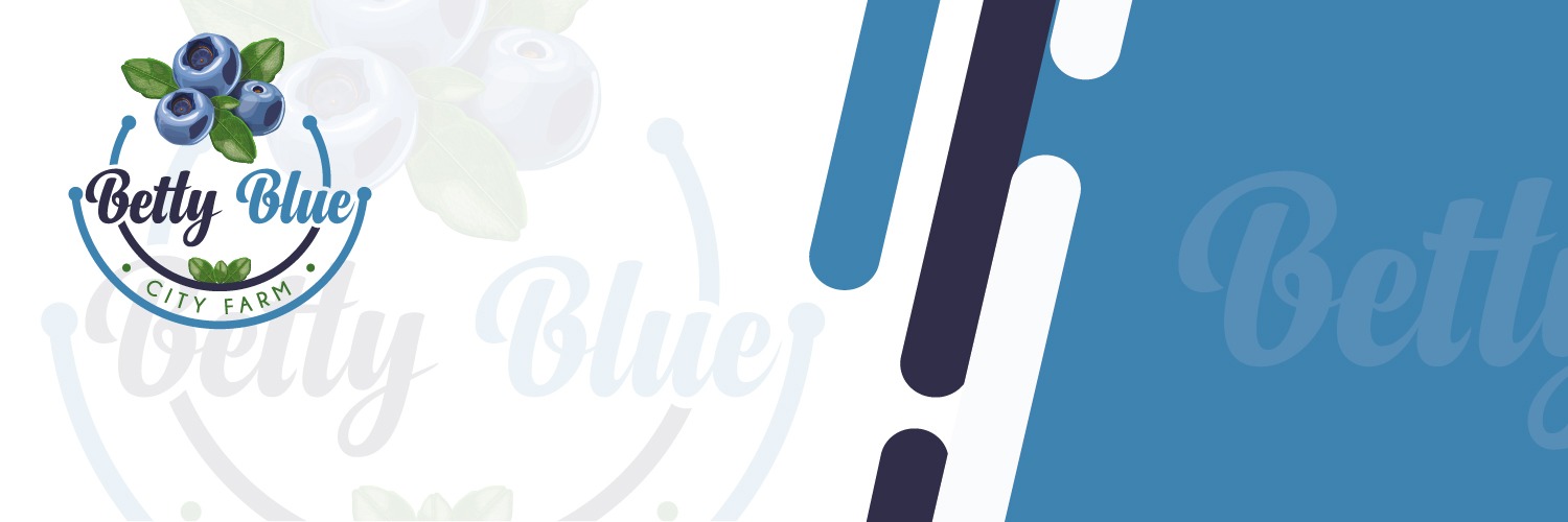 Shop Banner