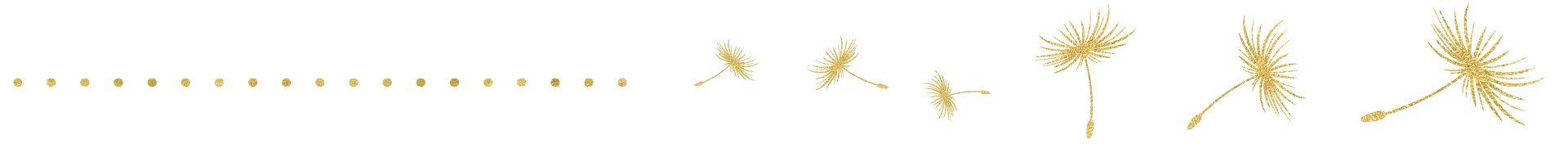 Shop Banner