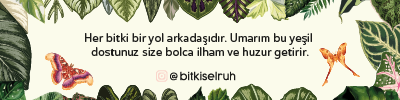Shop Banner