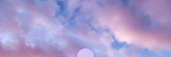 Shop Banner