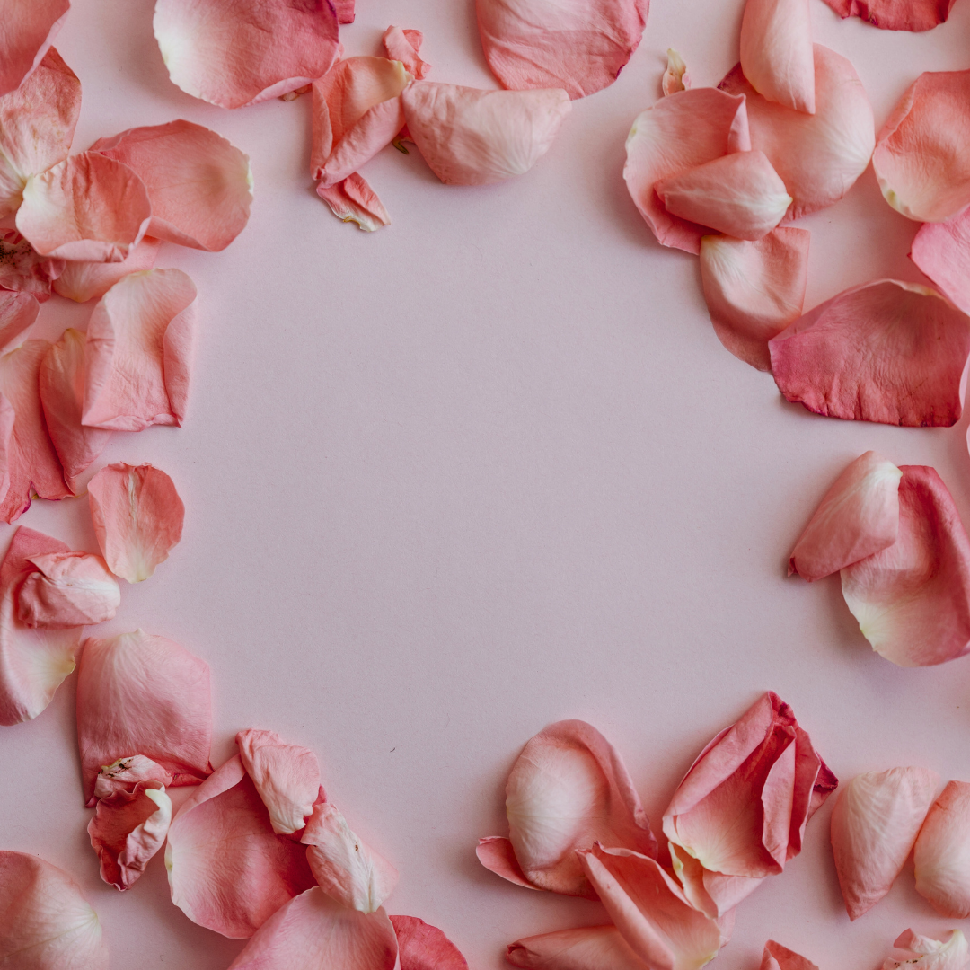 Shop Banner