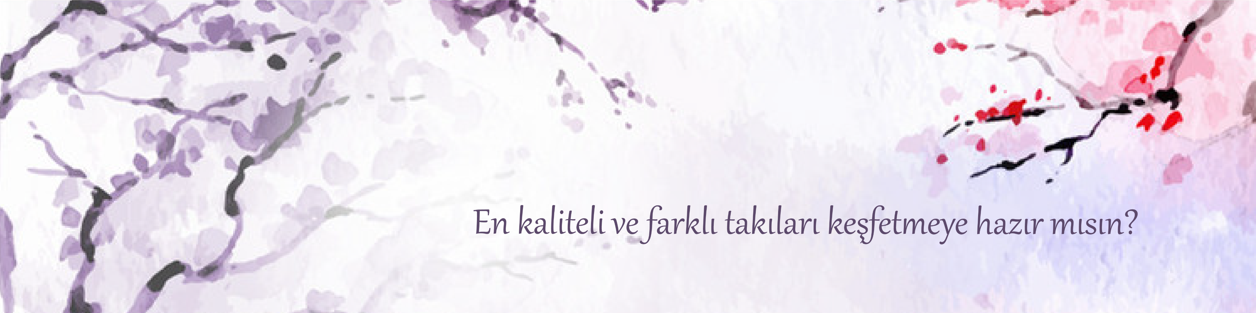Shop Banner