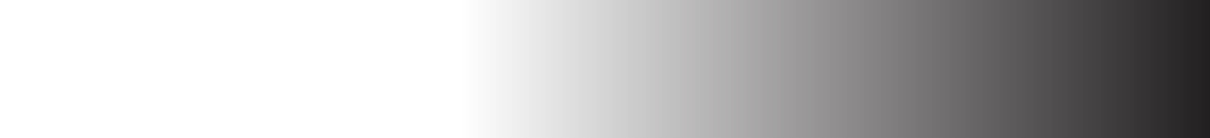 Shop Banner