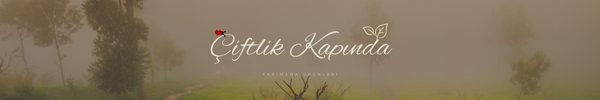 Shop Banner