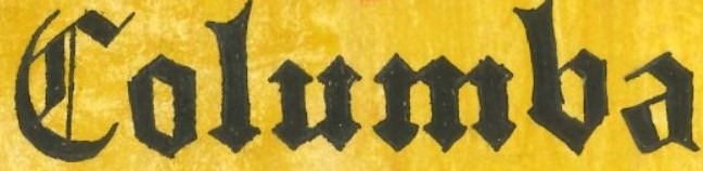 Shop Banner