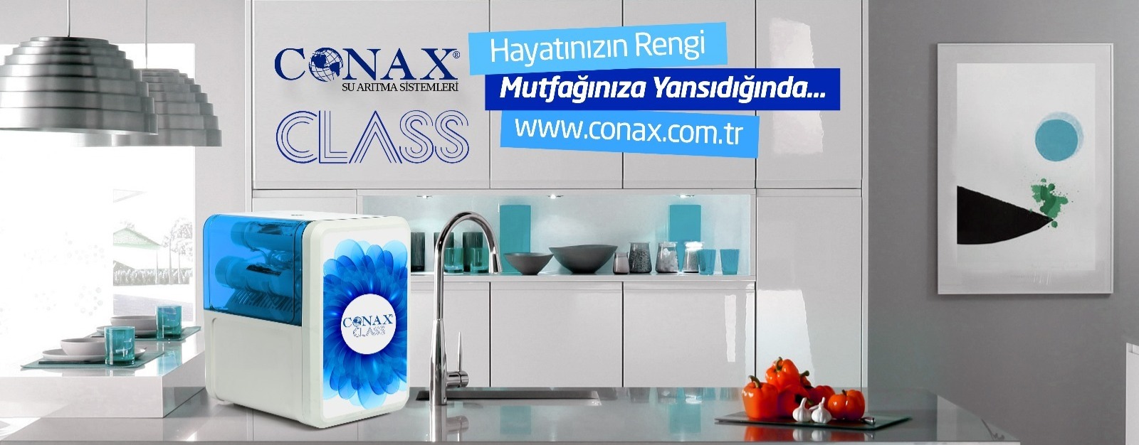 Shop Banner