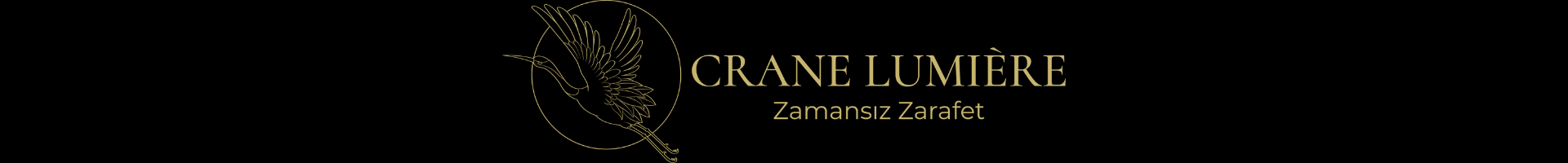 Shop Banner