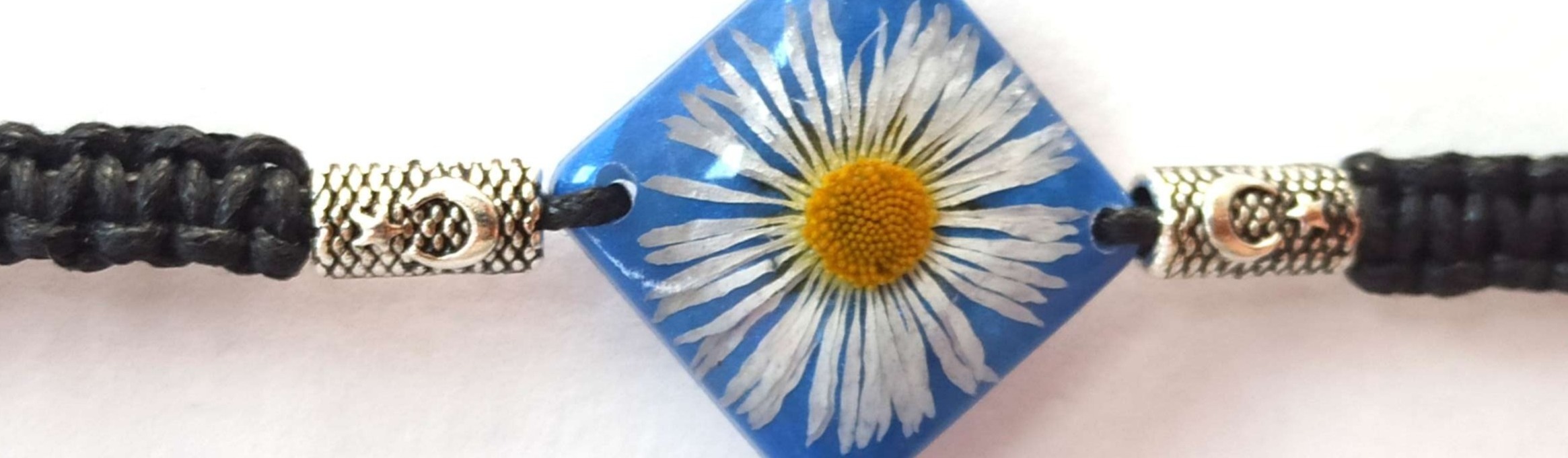 Shop Banner
