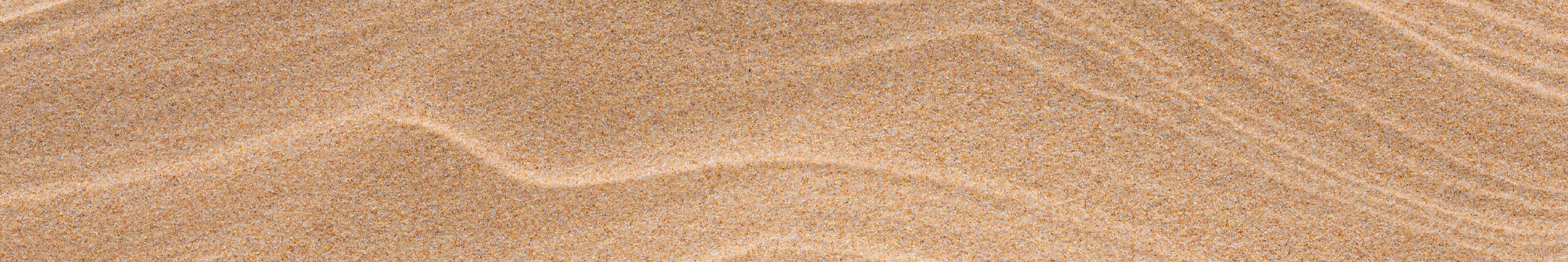 Shop Banner