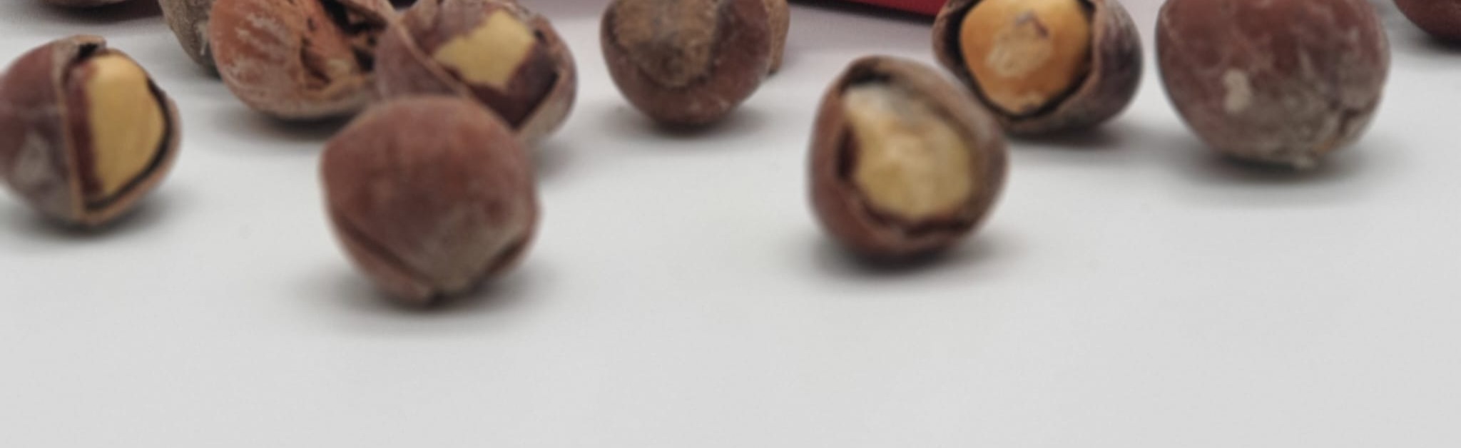 Shop Banner