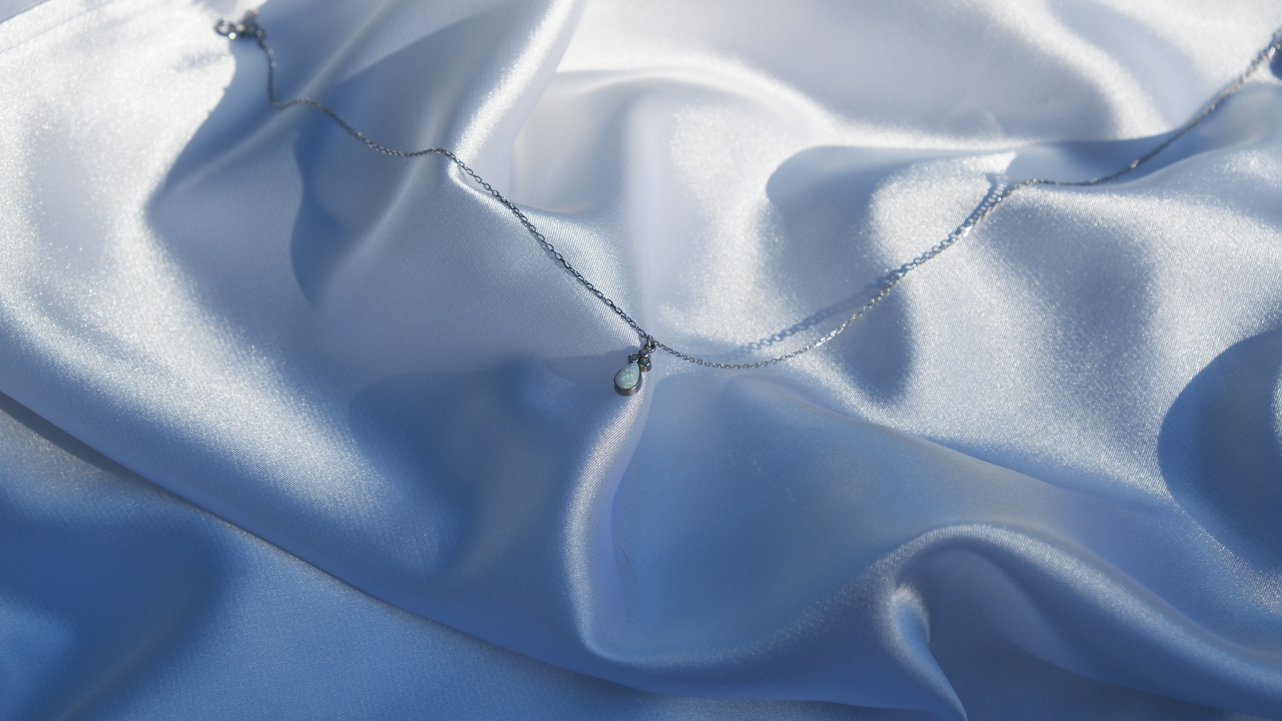 Shop Banner