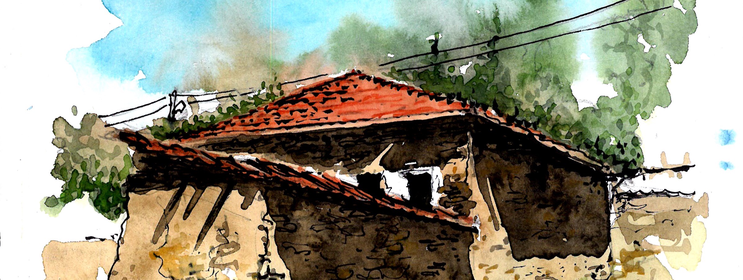 Shop Banner