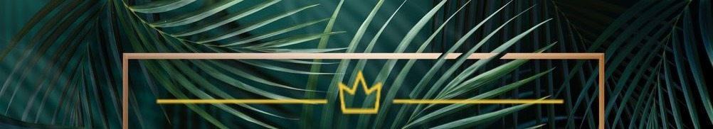 Shop Banner