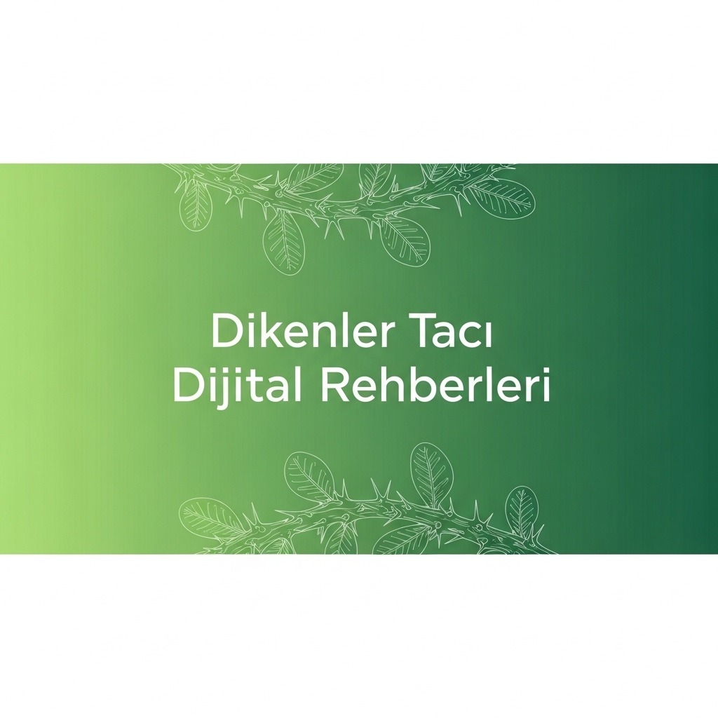 Shop Banner