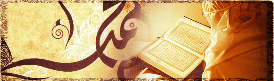 Shop Banner