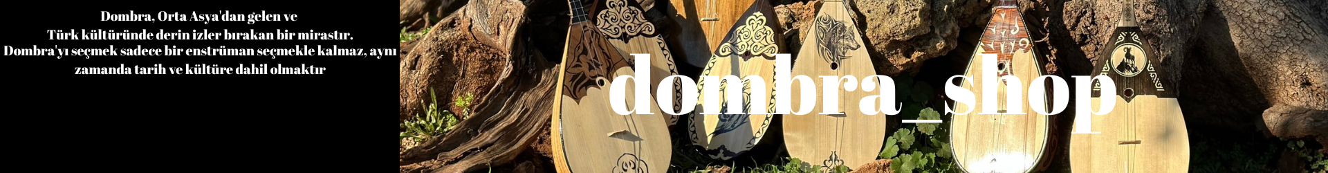 Shop Banner