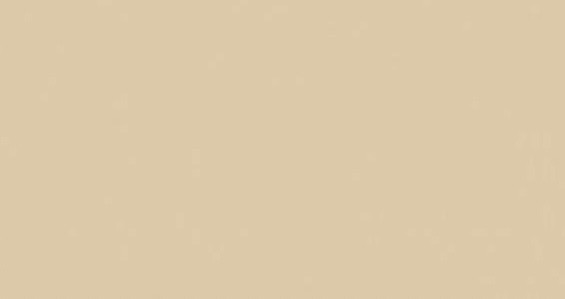 Shop Banner