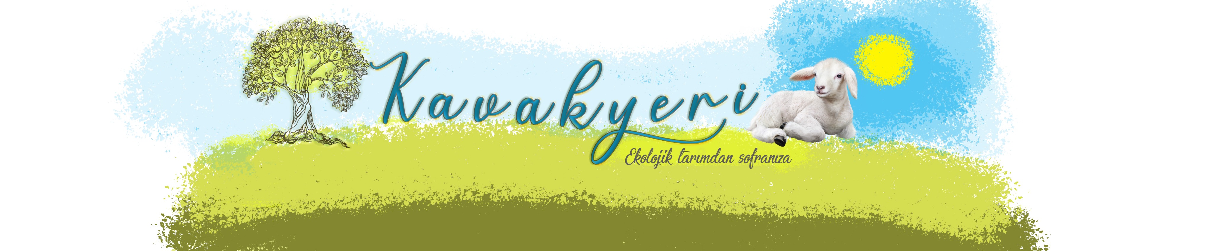 Shop Banner