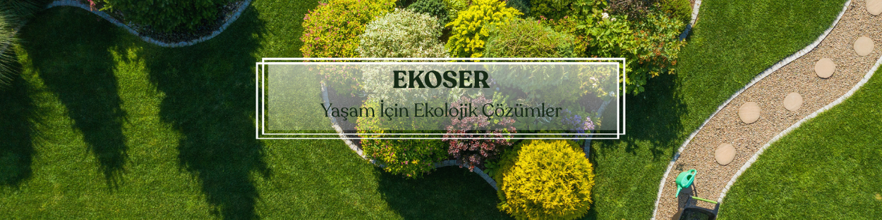 Shop Banner