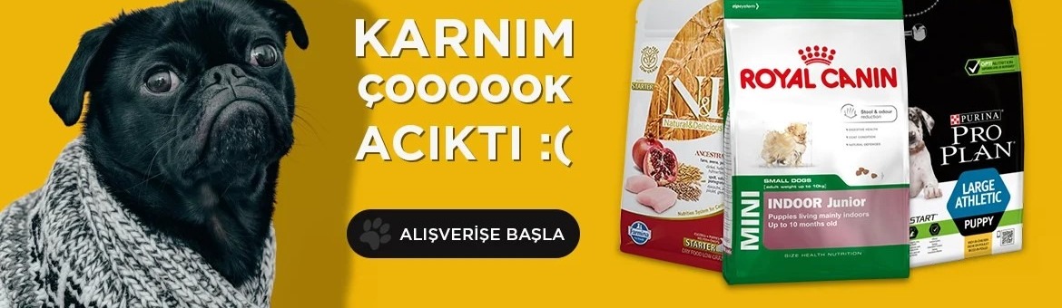 Shop Banner