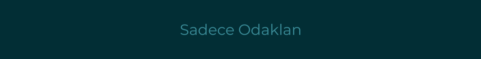 Shop Banner
