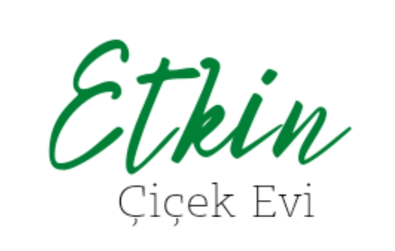 Shop Banner