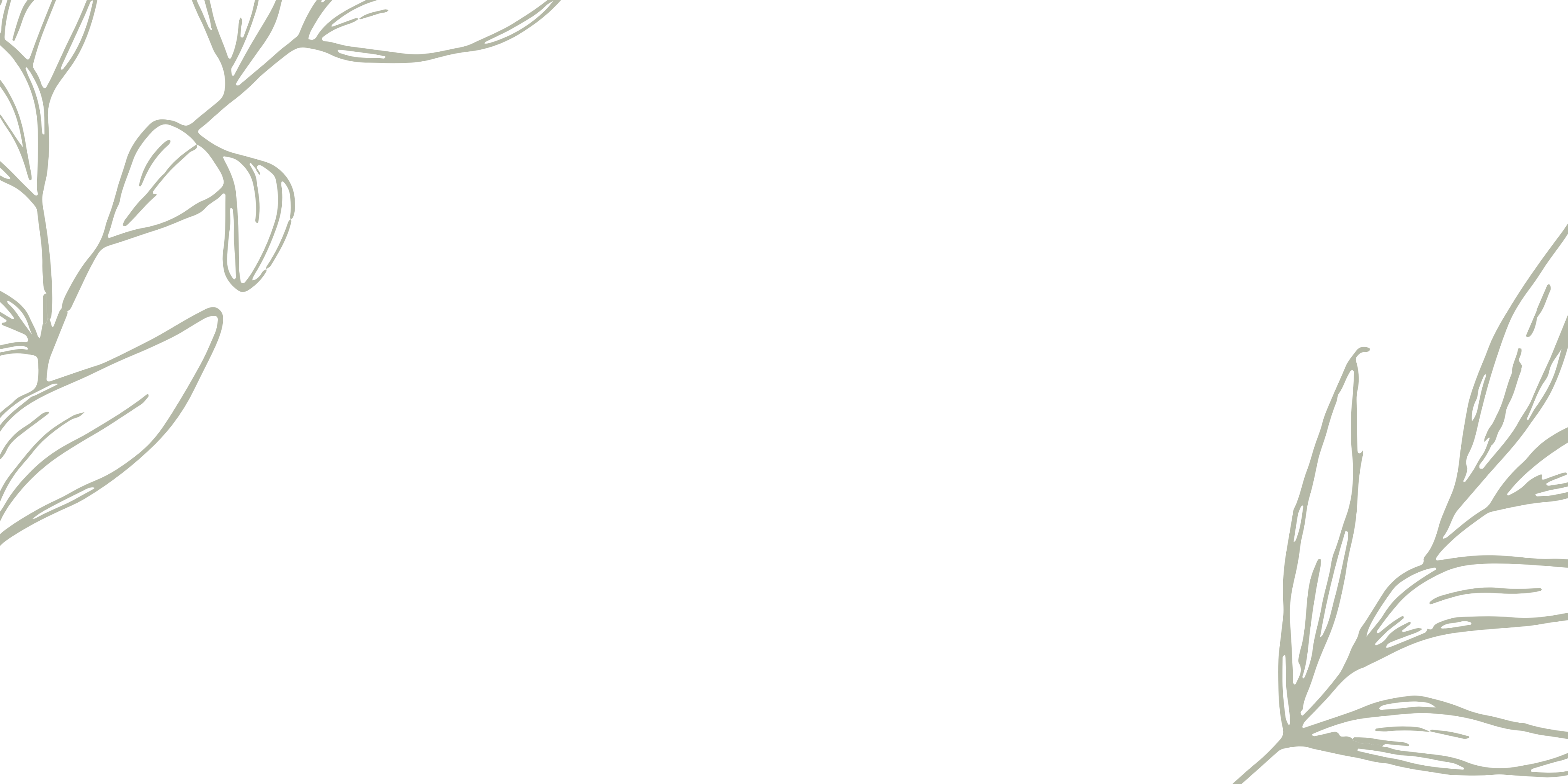 Shop Banner