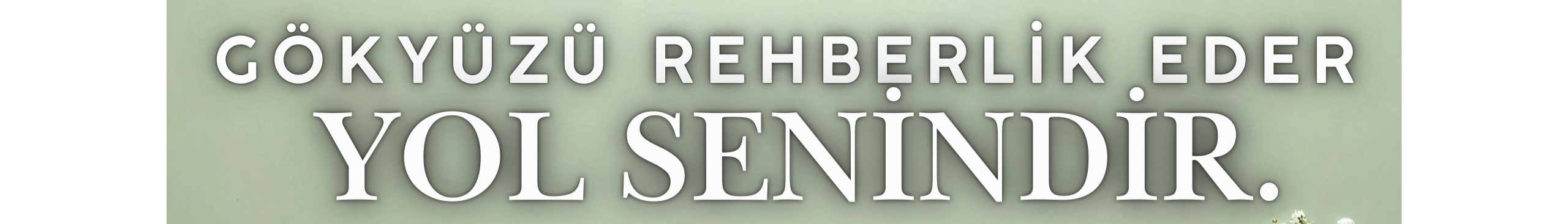 Shop Banner