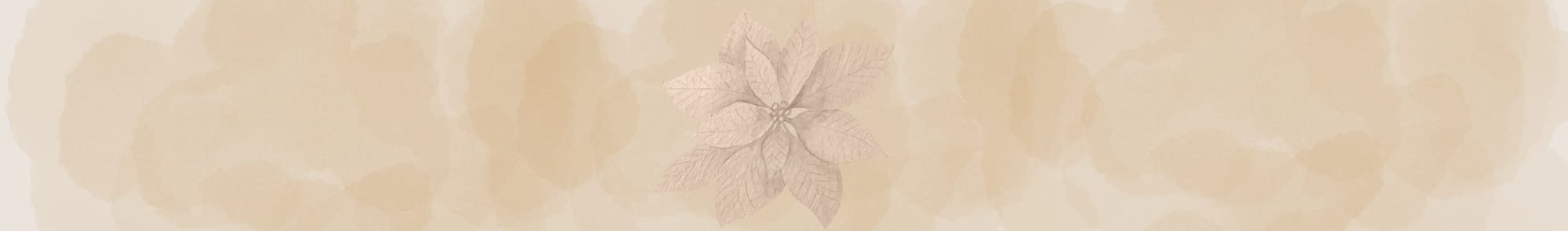 Shop Banner