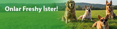 Shop Banner