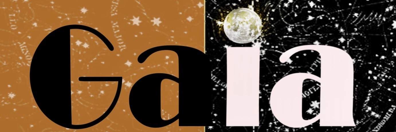 Shop Banner