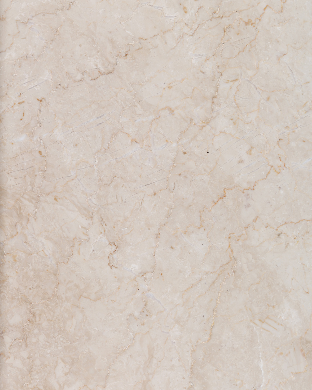 Shop Banner