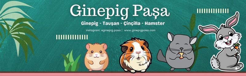 Shop Banner