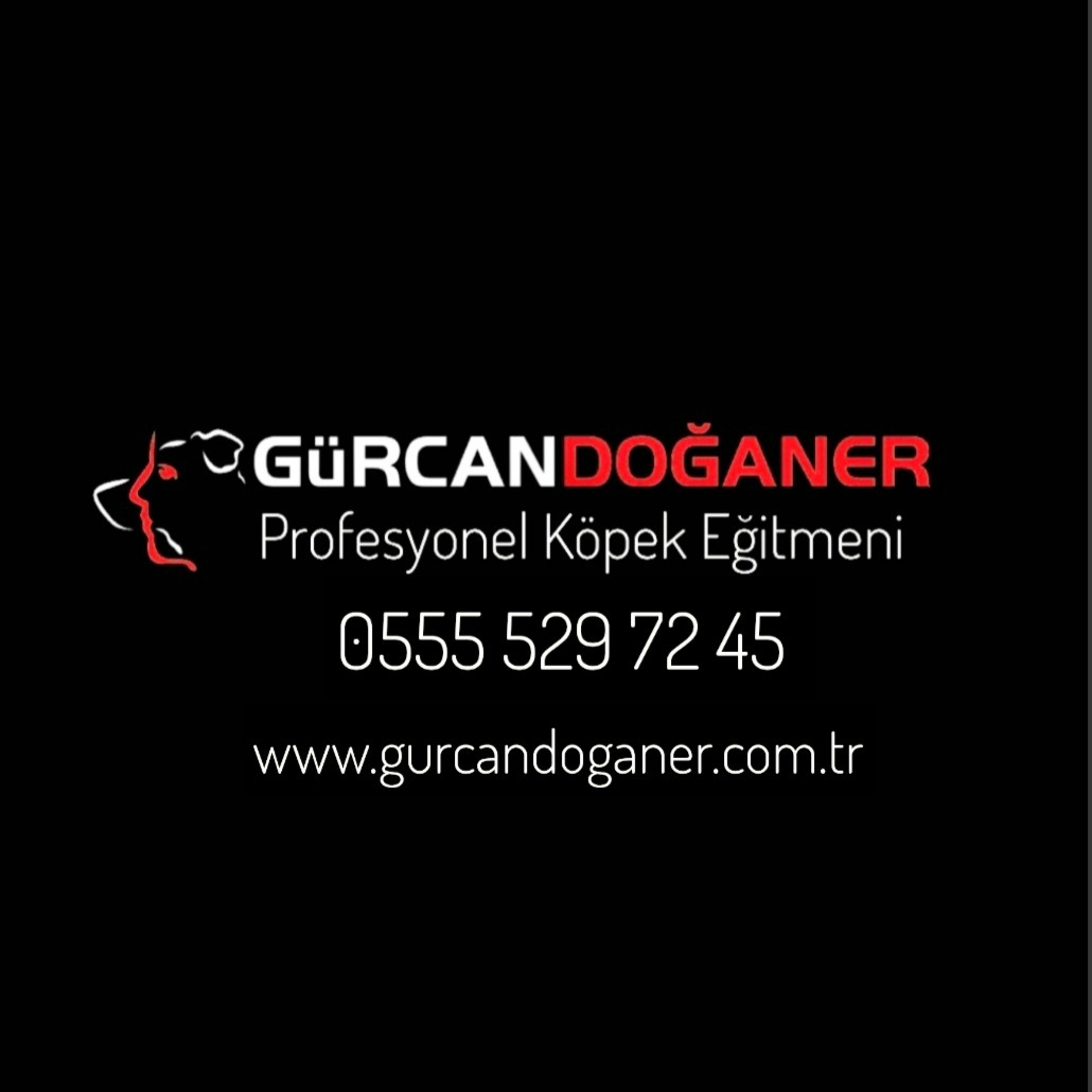 Shop Banner