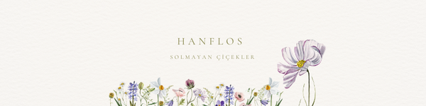 Shop Banner