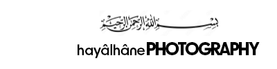 Shop Banner