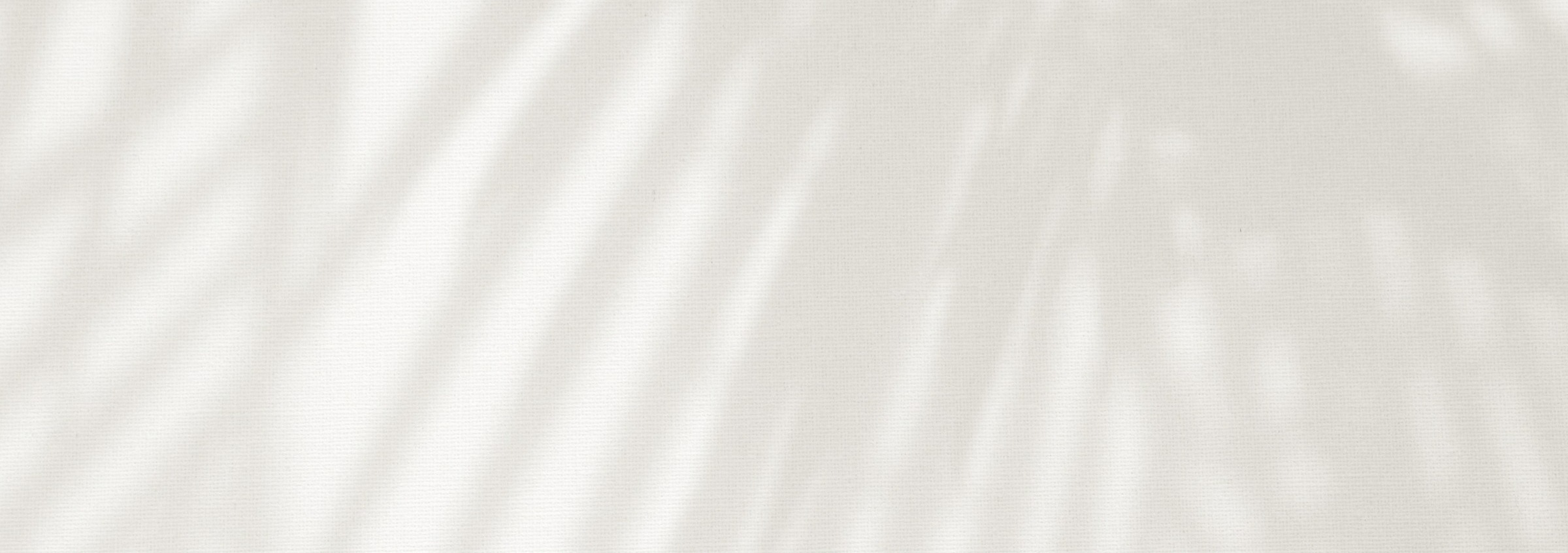 Shop Banner
