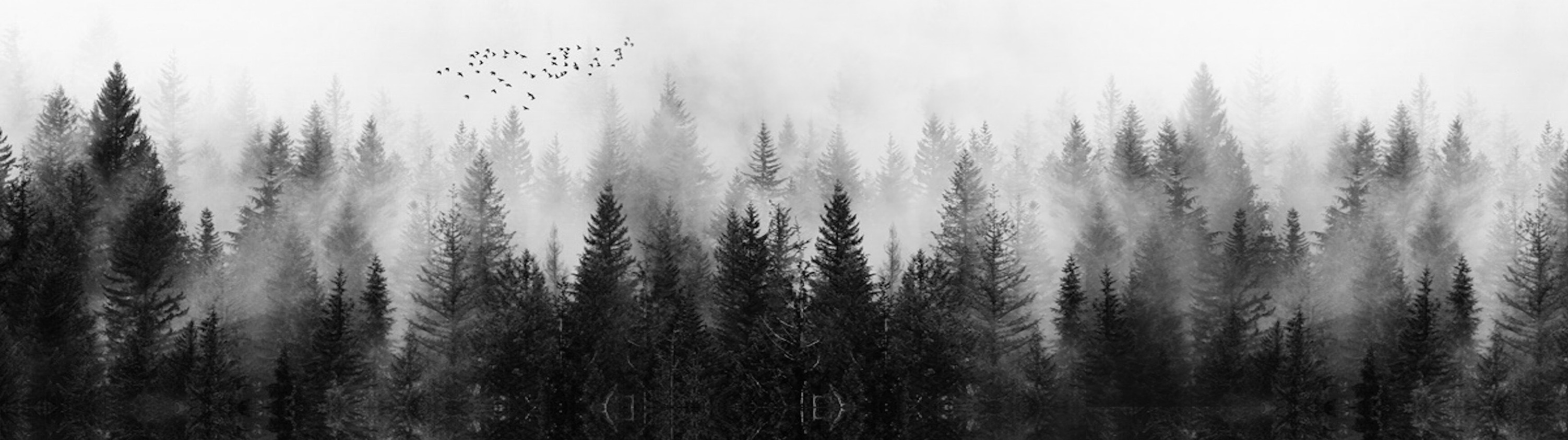 Shop Banner