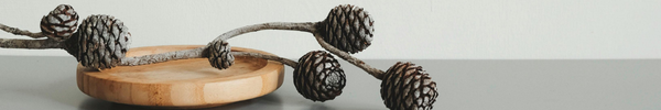 Shop Banner