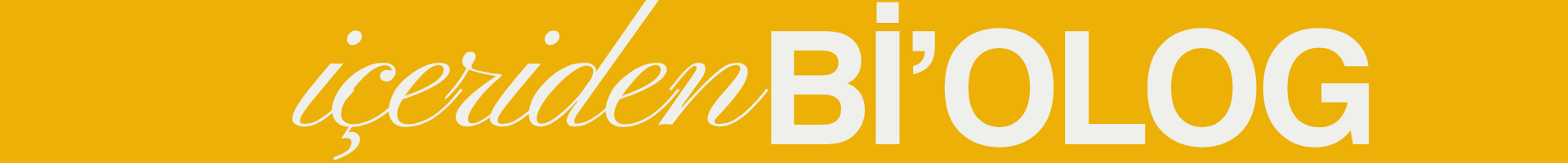 Shop Banner