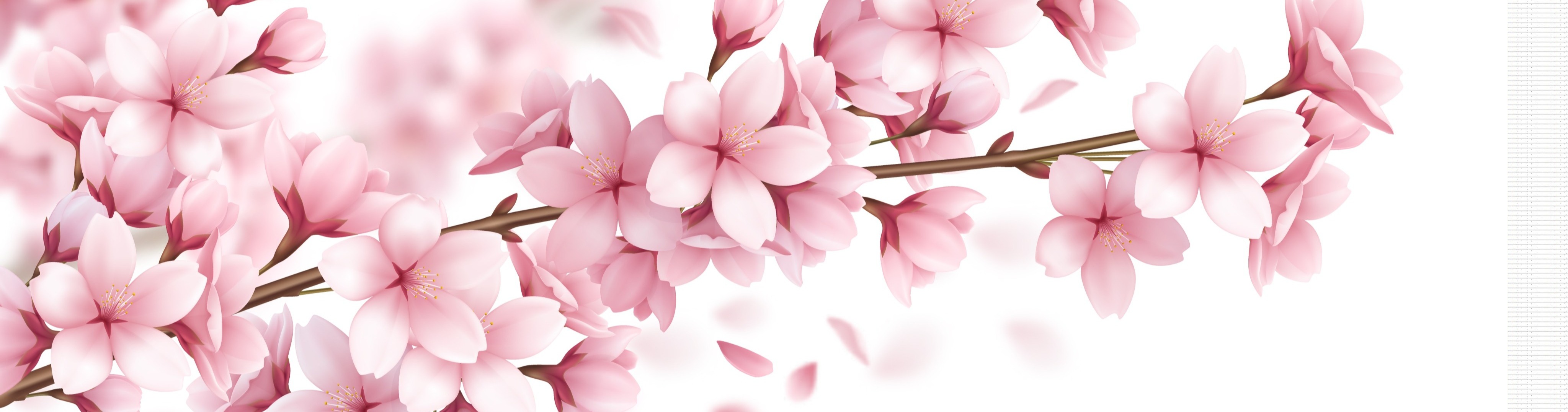 Shop Banner