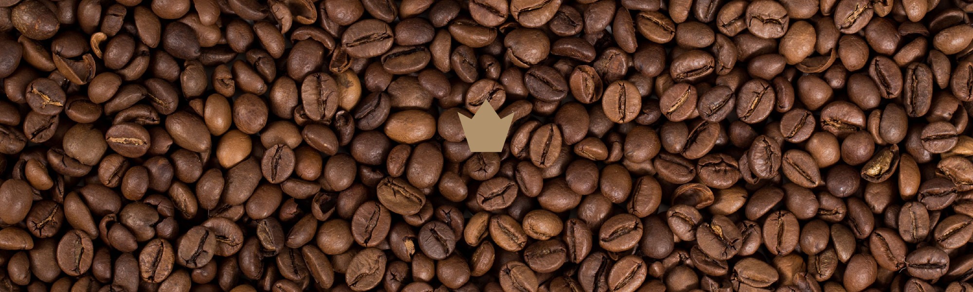 Shop Banner